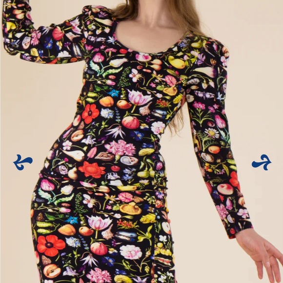 Samantha Pleet Aphrodite Dress Forager - Picture 2 of 2